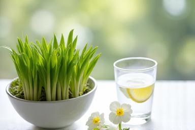 Fresh green shoots and clear water, symbolizing spring detox.